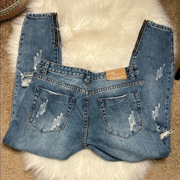 One Teaspoon Factory Distressed Trashed Free Birds Denim Ankle Zip jeans - Picture 6 of 13